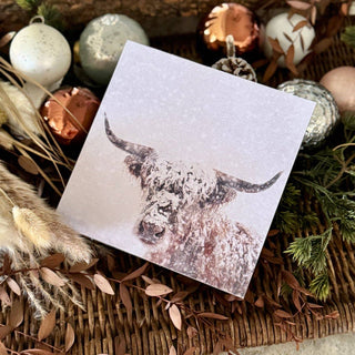 Winter Cow Box