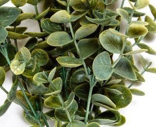 Eucalyptus Bunch, 14 In