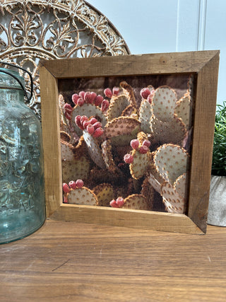 Cactus Framed Print