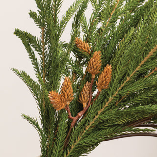 Soft Touch Austrian Pine Hanging Bush - 28"