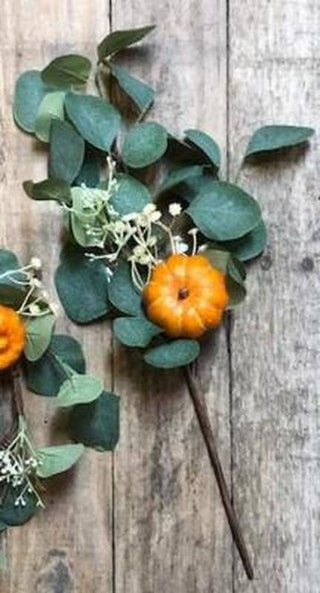 Eucalyptus Pumpkin Pick