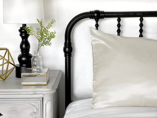Satin Pillowcase | Standard/Queen (Single)