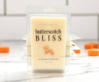 Large 6oz Soy Wax Melts