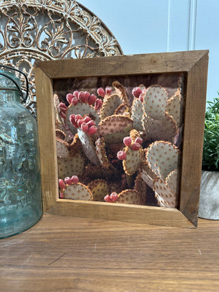 Cactus Framed Print