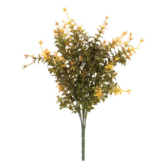 Golden Trumpet Bush - 13"