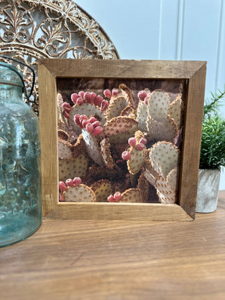 Cactus Framed Print