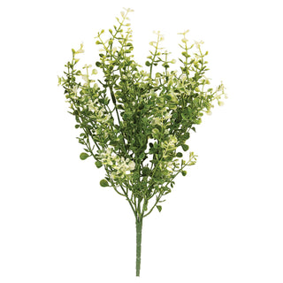Cream Tipped Baby's Grass Bush - 14"