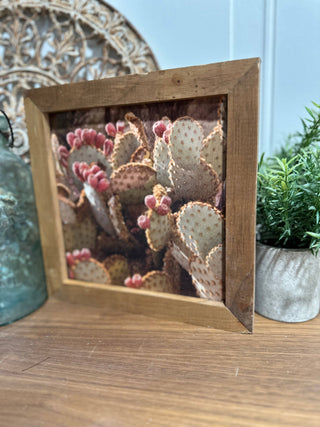 Cactus Framed Print