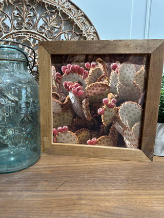 Cactus Framed Print