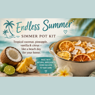 Simmer Pot Kit