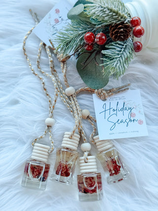 WInter Car Diffusers