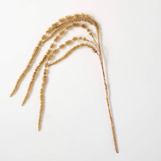 BEIGE BROWN DRAPING AMARANTHUS