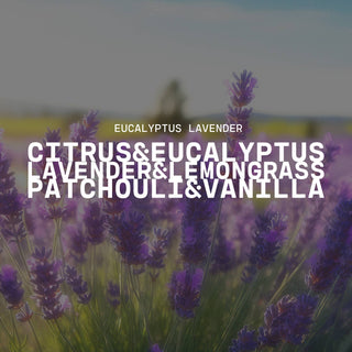 Eucalyptus Lavender | 7 oz Classic Statement Candle