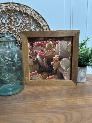 Cactus Framed Print