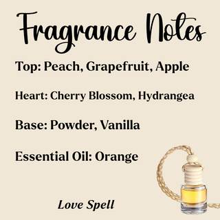 Hanging Car Diffusers | Made in USA