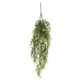 Cream Tipped Baby's Grass Hanging Bush - 34"