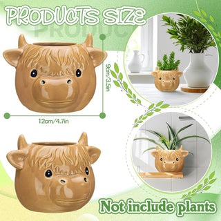 Highland Cow Succulent Pot