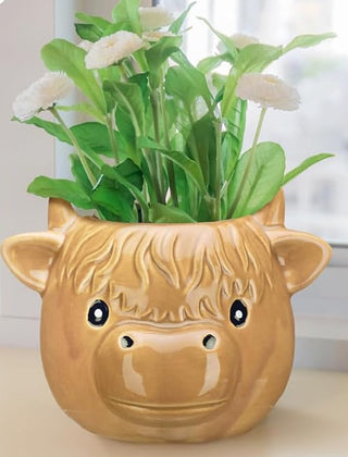 Highland Cow Succulent Pot